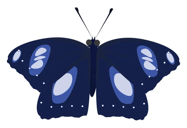 蓝色蝴蝶 白色背景上的矢量 — 图库矢量图片
