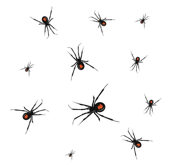Kara Dul Örümceği Illüstrasyon Beyaz Arka Planda Vektör — Stok Vektör