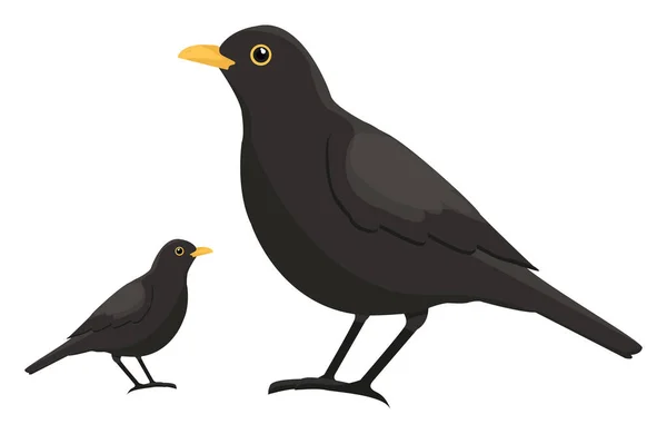 Schwarzer Vogel Illustration Vektor Auf Weißem Hintergrund — Stockvektor