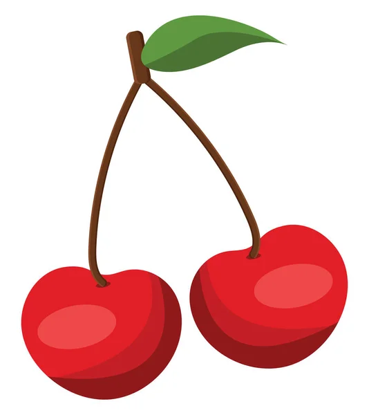 Red Cherry Illustration Vector White Background — Stock Vector