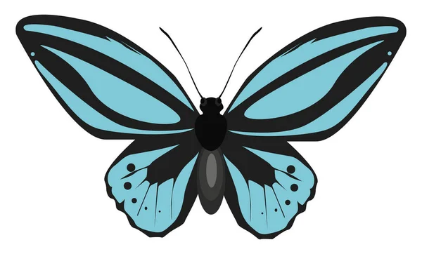 Papillon Bleu Illustration Vecteur Sur Fond Blanc — Image vectorielle