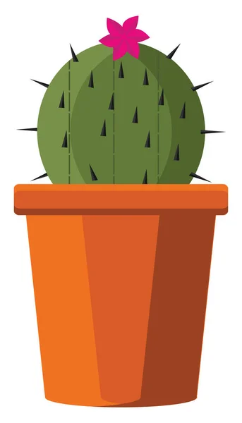 Kaktus Kruka Illustration Vektor Vit Bakgrund — Stock vektor
