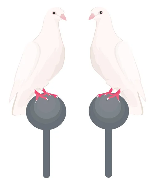 Deux Colombes Blanches Illustration Vecteur Sur Fond Blanc — Image vectorielle