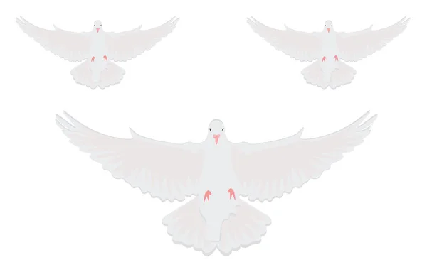 Colombe Volante Illustration Vecteur Sur Fond Blanc — Image vectorielle