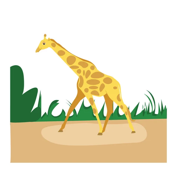 Girafa Animal Ilustração Vetor Sobre Fundo Branco — Vetor de Stock
