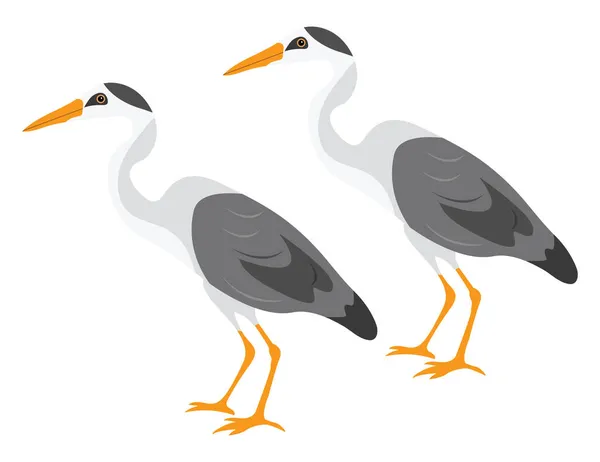 Oiseau Héron Illustration Vecteur Sur Fond Blanc — Image vectorielle