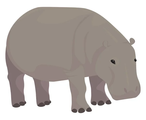 Hippopotame Animal Illustration Vecteur Sur Fond Blanc — Image vectorielle