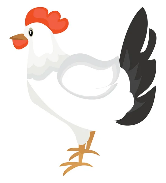 White Hen Illustration Vector White Background — Stock Vector