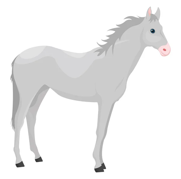 Wit Paard Illustratie Vector Een Witte Achtergrond — Stockvector