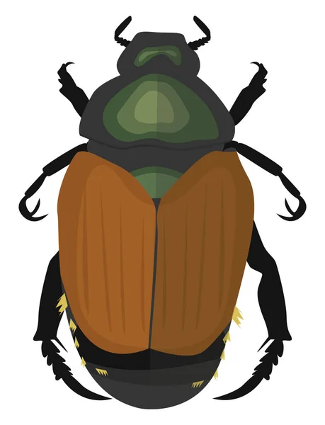 Escarabajo Japonés Ilustración Vector Sobre Fondo Blanco — Archivo Imágenes Vectoriales