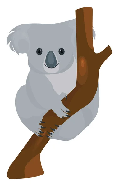 Koala Ένα Δέντρο Εικονογράφηση Διάνυσμα Λευκό Φόντο — Διανυσματικό Αρχείο
