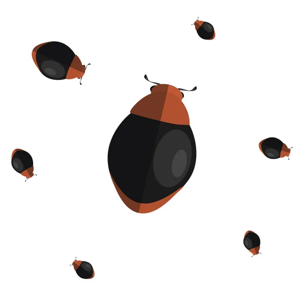 Zwarte Lieveheersbeestje Illustratie Vector Een Witte Achtergrond — Stockvector