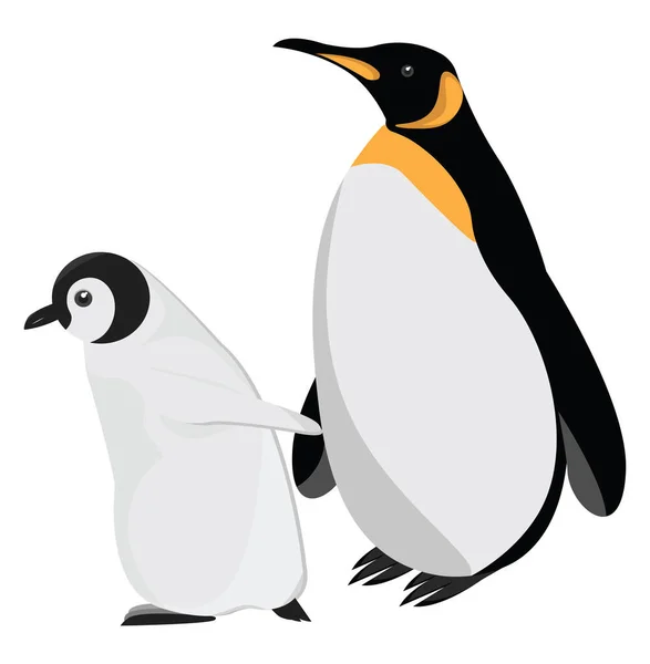 Twee Pinguïns Illustratie Vector Een Witte Achtergrond — Stockvector