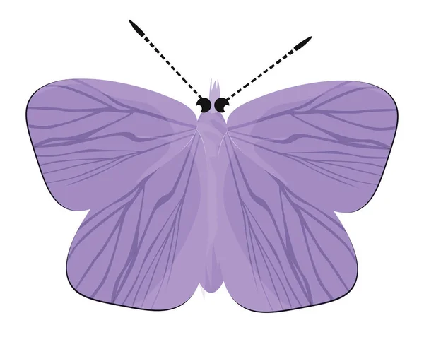 Lila Schmetterling Illustration Vektor Auf Weißem Hintergrund — Stockvektor