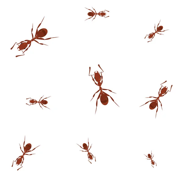 Rote Ameise Illustration Vektor Auf Weißem Hintergrund — Stockvektor