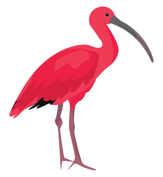 100,000 Ibis Vector Images | Depositphotos