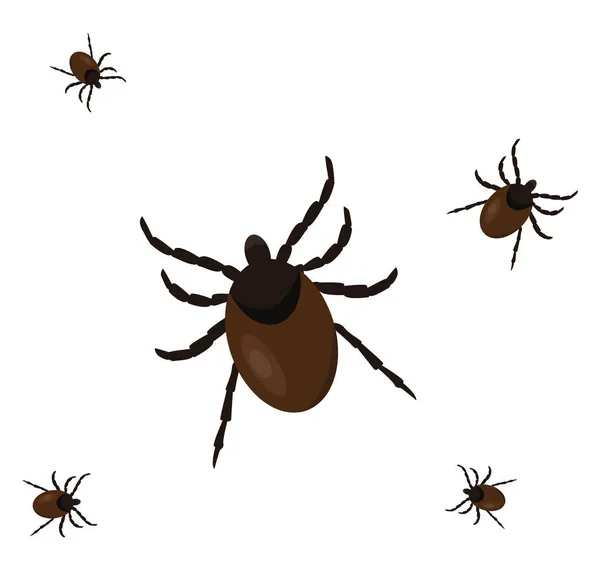 Tick Bug Illustration Vektor Auf Weißem Hintergrund — Stockvektor
