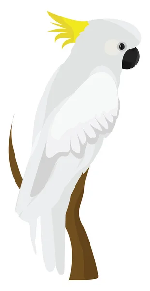 Белый Попугай Иллюстрация Вектор Белом Фоне — стоковый вектор