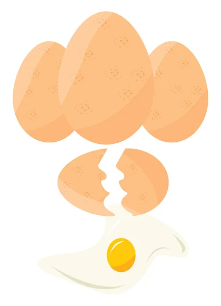 Cracked Eggs Illustration Vector White Background — Stock Vector