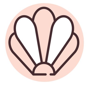 Yaz deniz kabuğu, illüstrasyon, beyaz arkaplanda vektör.