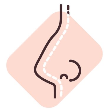 Burun estetiği, illüstrasyon, beyaz arkaplan üzerindeki vektör.