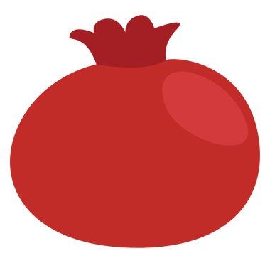 Şarap nar, illüstrasyon, beyaz arkaplanda vektör.