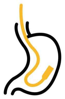 Endokrinoloji sınavı, illüstrasyon, beyaz arkaplan üzerindeki vektör.