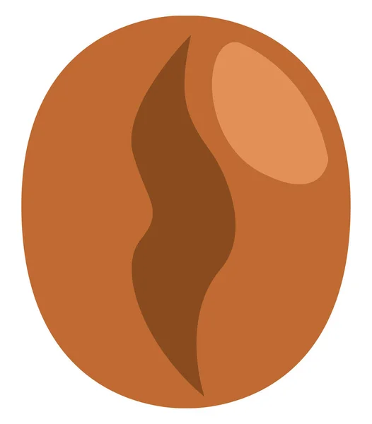 Coffee Bean Illustration Vector White Background — Stock Vector
