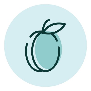 Taze kayısı, illüstrasyon, beyaz arkaplanda vektör.