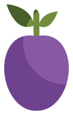 Mor erik, illüstrasyon, beyaz arkaplan üzerinde vektör.