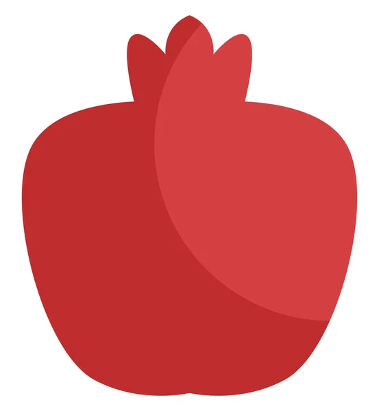 Red Pomegranate Illustration Vector White Background — Stock Vector