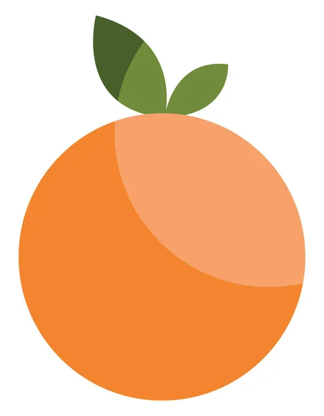 橙色的水果 白色背景上的载体 — 图库矢量图片