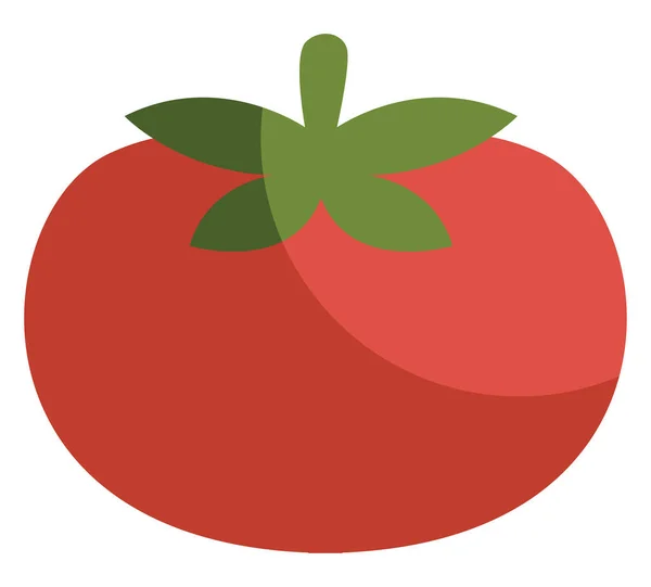 Tomate Vermelho Ilustração Vetor Sobre Fundo Branco — Vetor de Stock