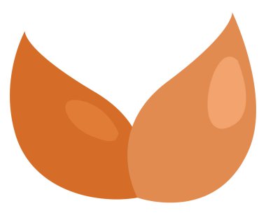 Çay yaprakları, illüstrasyon, beyaz arkaplandaki vektör.