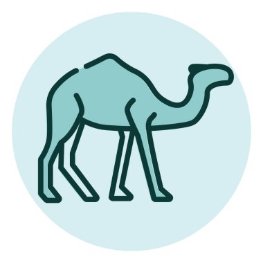 Vahşi deve, illüstrasyon, beyaz arkaplandaki vektör.