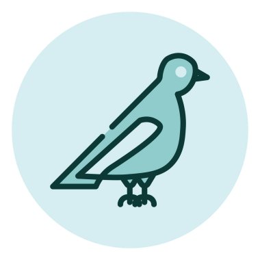 Vahşi güvercin, illüstrasyon, beyaz arka planda vektör.