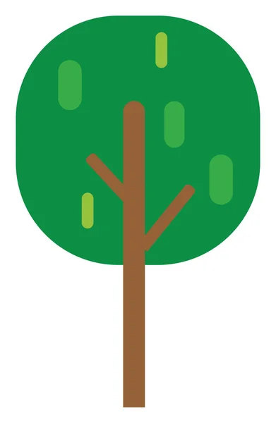 Зеленое Дерево Иллюстрация Вектор Белом Фоне — стоковый вектор