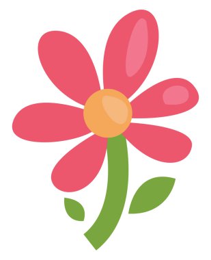 Pembe narin çiçek, illüstrasyon, beyaz arkaplanda vektör..