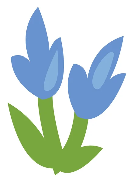 Dos Flores Azules Ilustración Vector Sobre Fondo Blanco — Vector de stock
