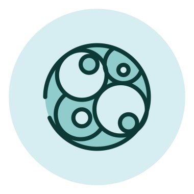 Embriyoloji bilimi, illüstrasyon, beyaz arkaplandaki vektör.