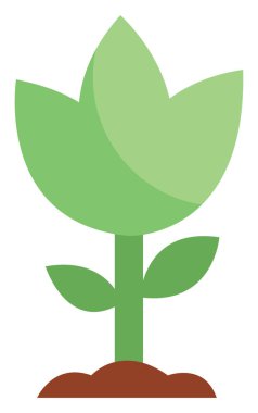 Bahar çiçekleri, illüstrasyon, beyaz arkaplandaki vektör.