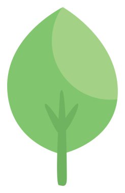 Bahar yaprağı, illüstrasyon, beyaz arkaplandaki vektör.