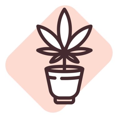 Marihuana büyümesi, illüstrasyon, beyaz arkaplan üzerindeki vektör.