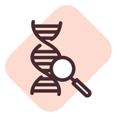 İnsan biyolojisi eğitimi, illüstrasyon, beyaz arkaplan üzerindeki vektör.