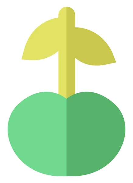 Grüne Kirsche Illustration Vektor Auf Weißem Hintergrund — Stockvektor