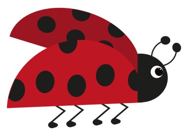 Yaz uğur böceği, illüstrasyon, beyaz arkaplan üzerindeki vektör.