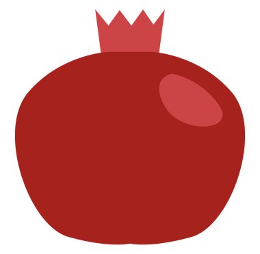 Turuncu nar, illüstrasyon, beyaz arkaplanda vektör.