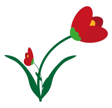Yaz gelinciği çiçeği, illüstrasyon, beyaz arkaplanda vektör.