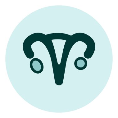 Kadın rahmi, illüstrasyon, beyaz arkaplan üzerindeki vektör.