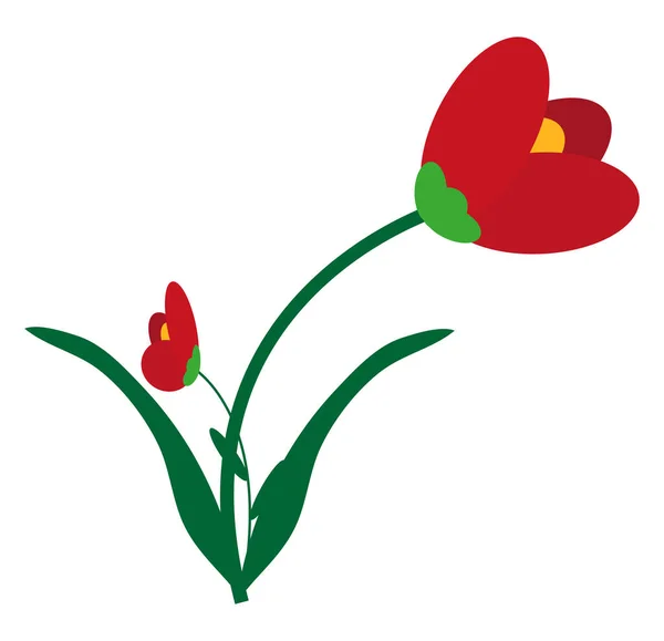 Zomer Papaver Bloem Illustratie Vector Een Witte Achtergrond — Stockvector